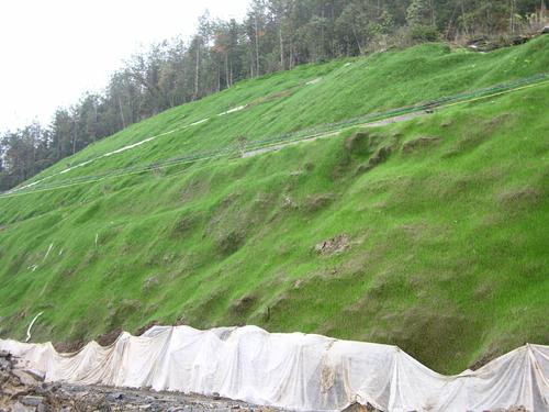 高次团粒喷播机